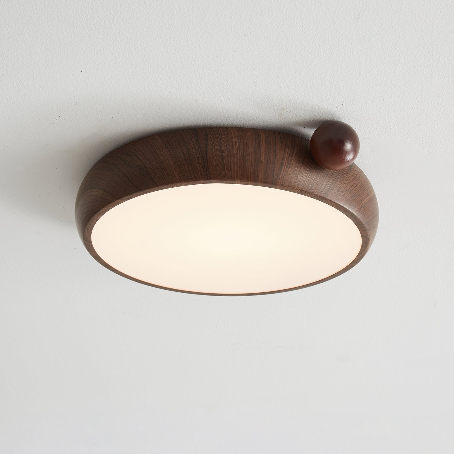 Lecaniva Ceiling Light