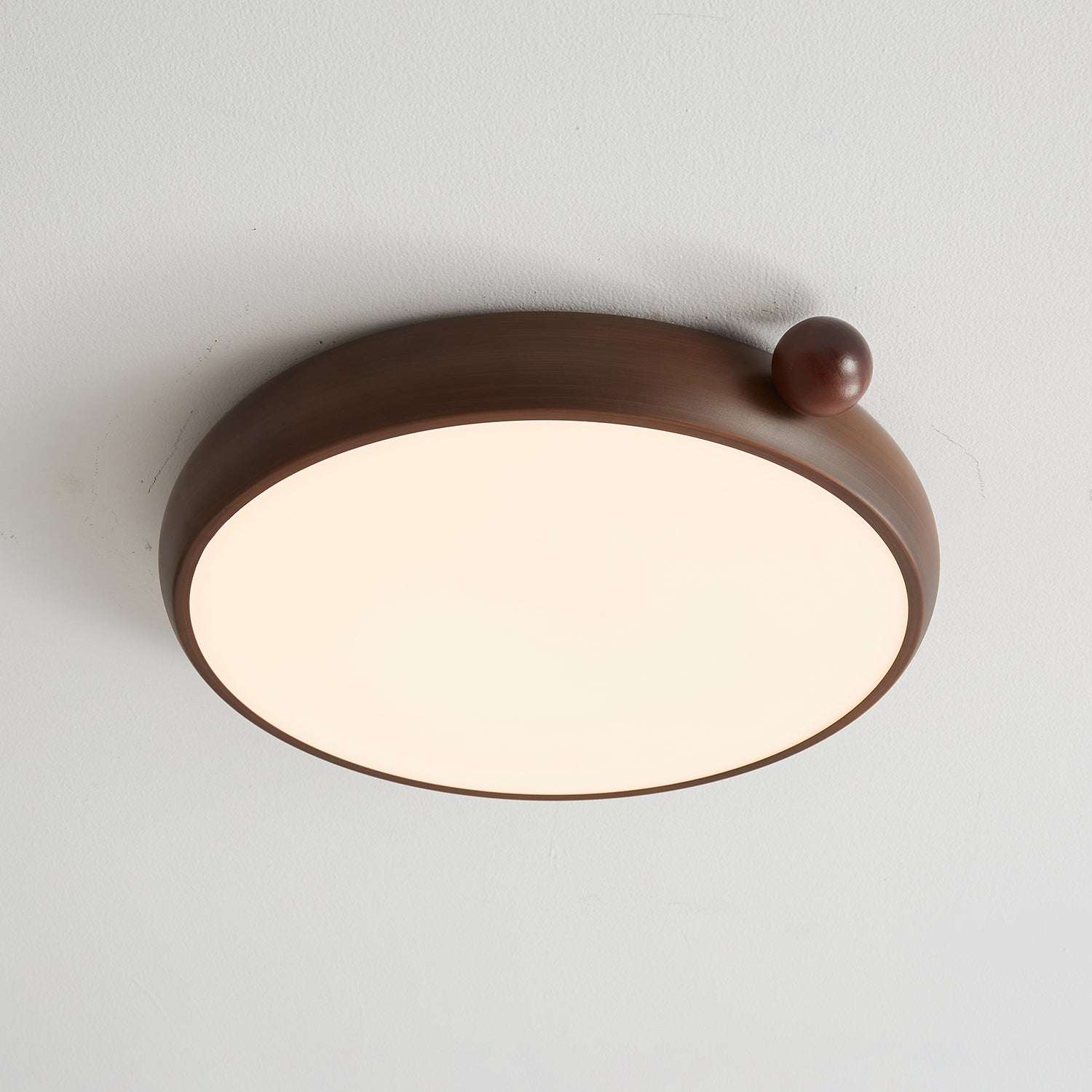 Lecaniva Ceiling Light