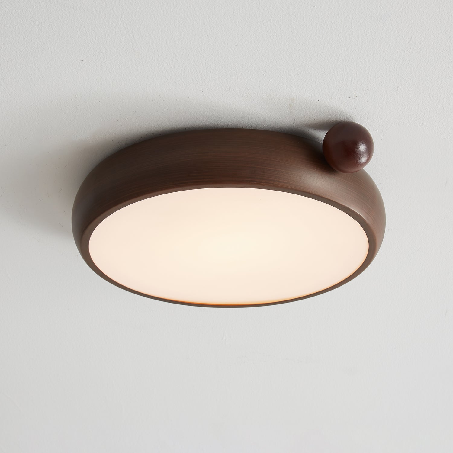 Lecaniva Ceiling Light