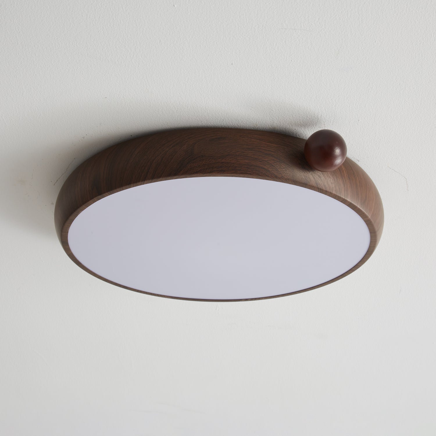 Lecaniva Ceiling Light