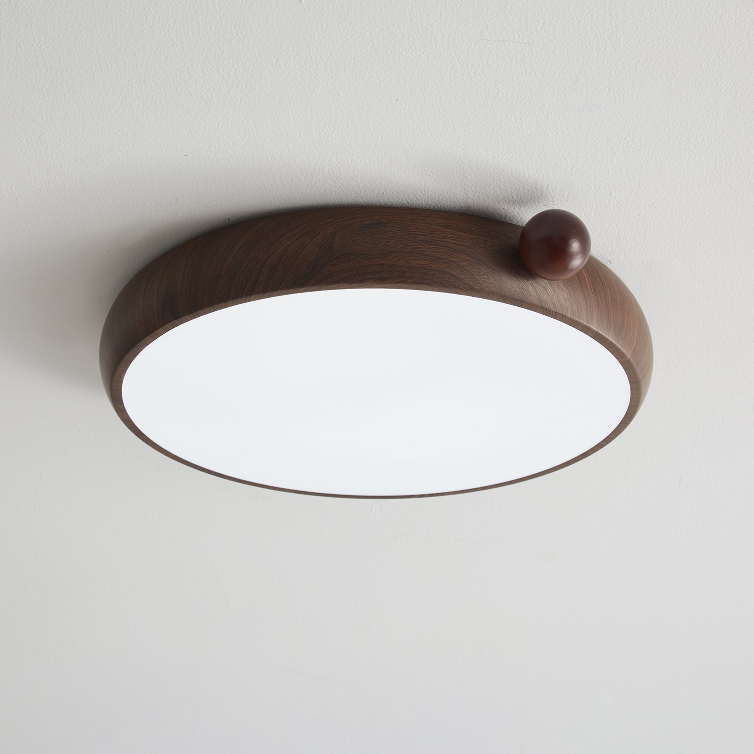 Lecaniva Ceiling Light