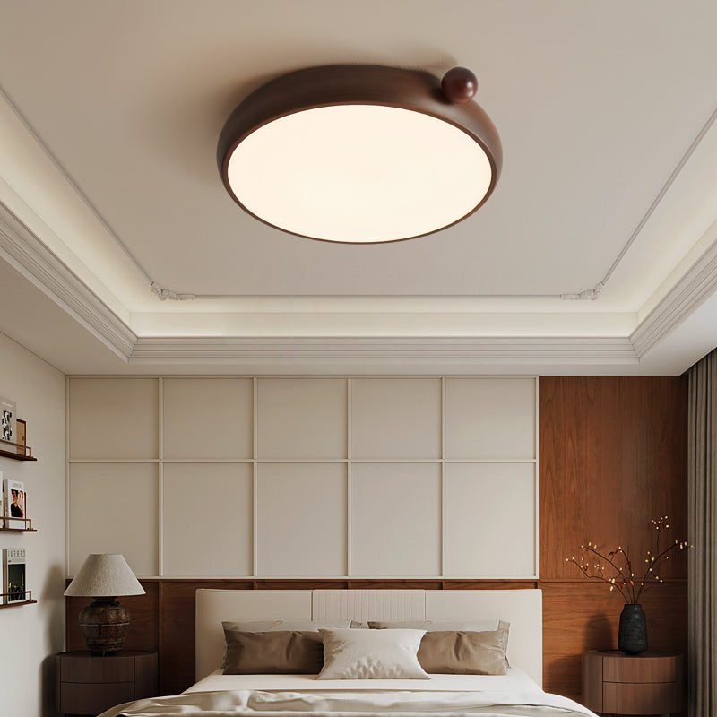 Lecaniva Ceiling Light