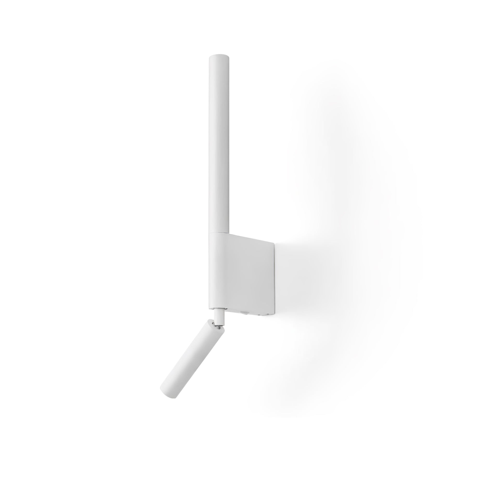 Cavullo Wall Light