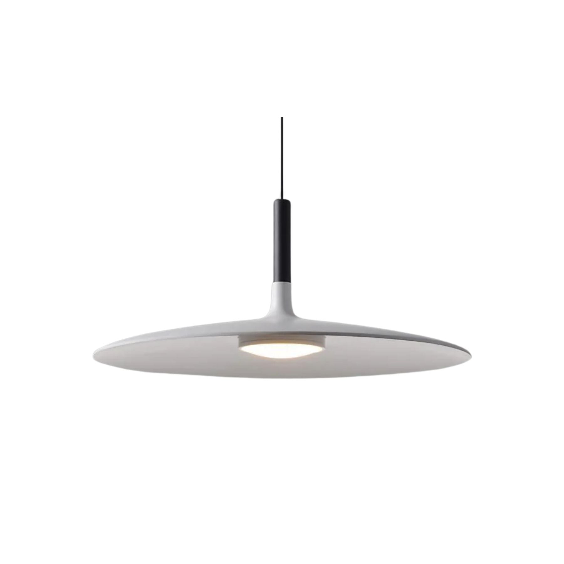 Alomb Metal Pendant Light