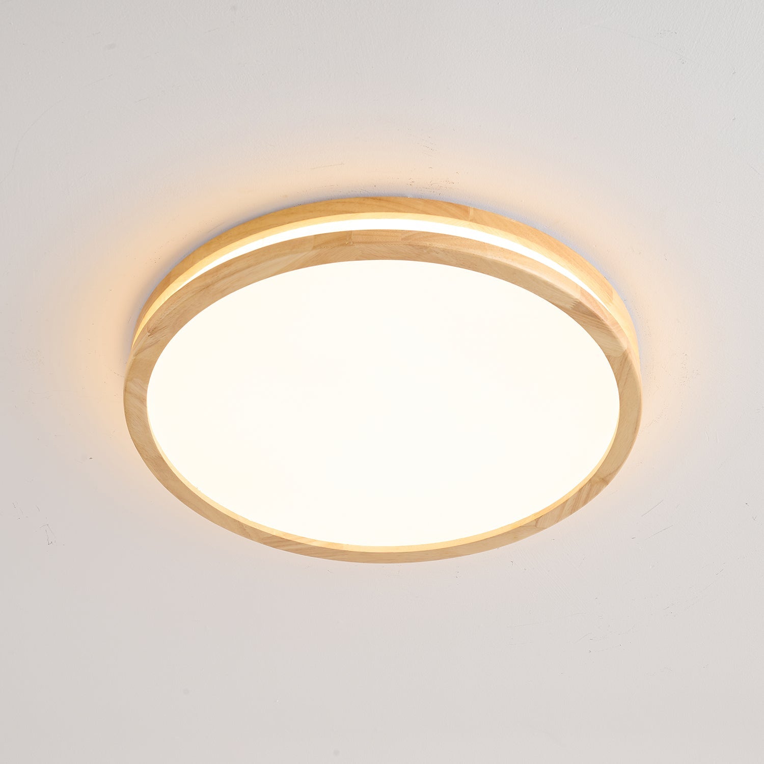 Calisco Ceiling Light