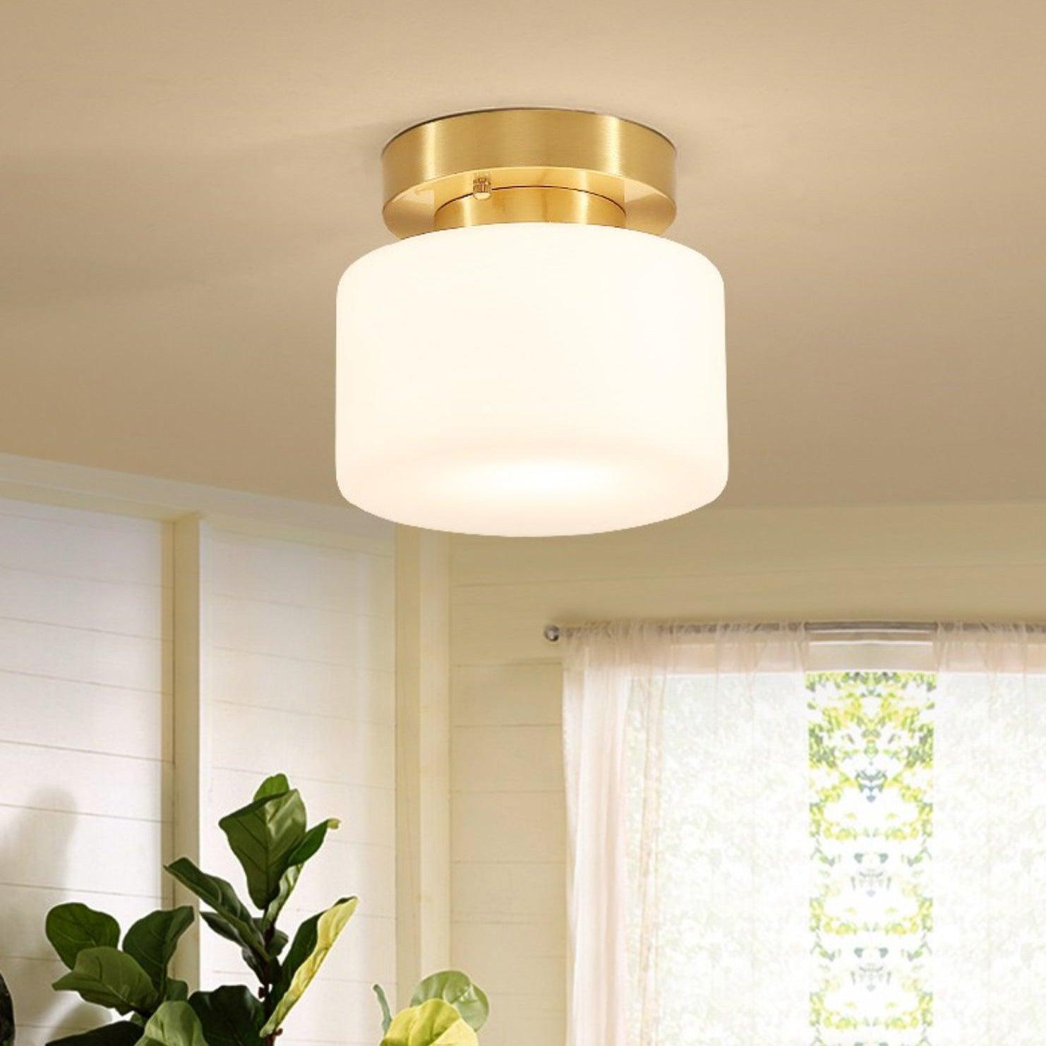 Lumaro Ceiling Light