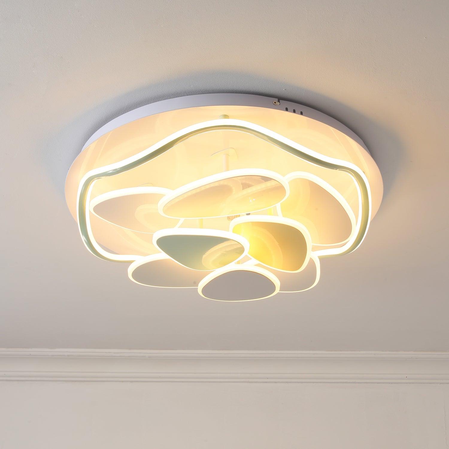Colean Ceiling Light