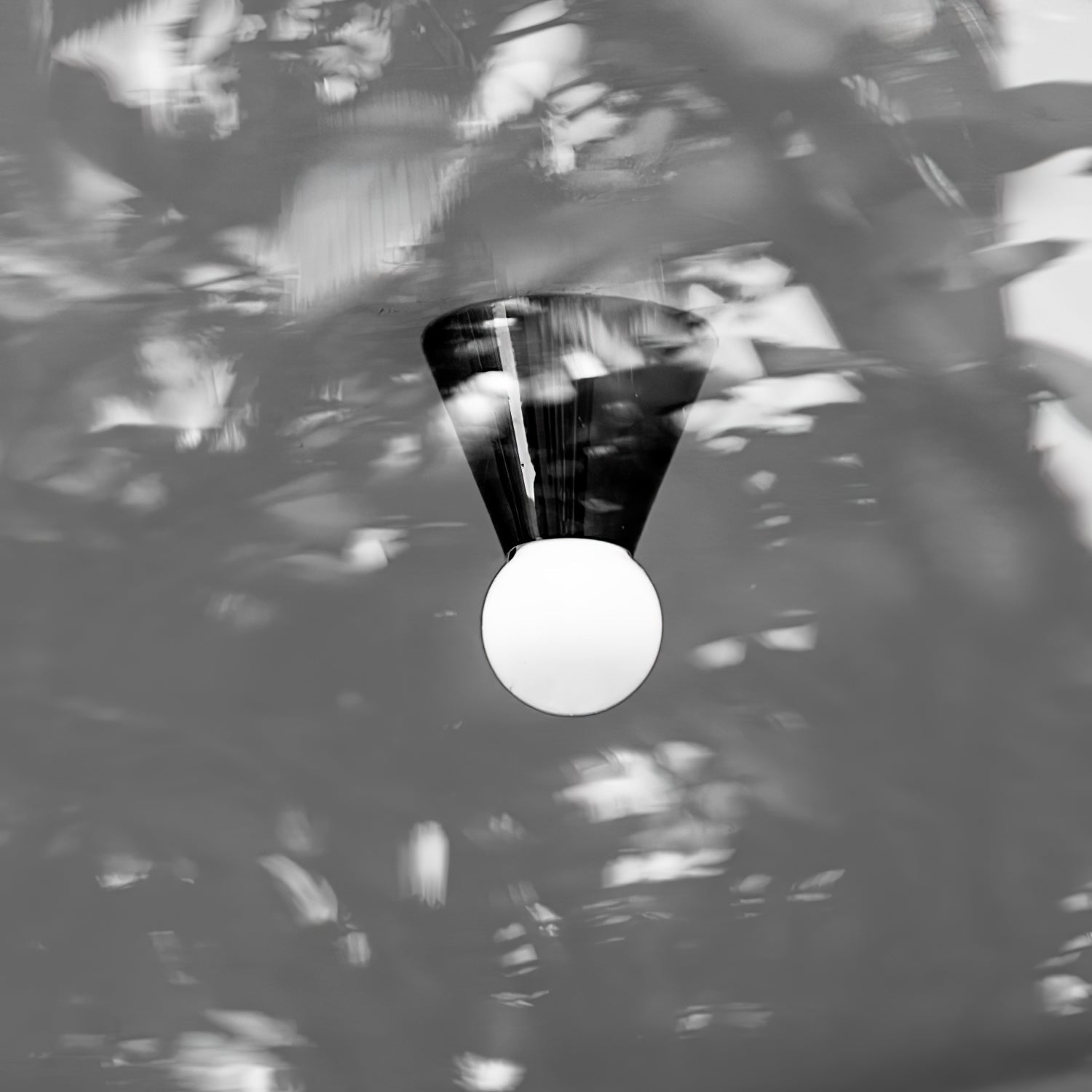 Monic Ceiling Light