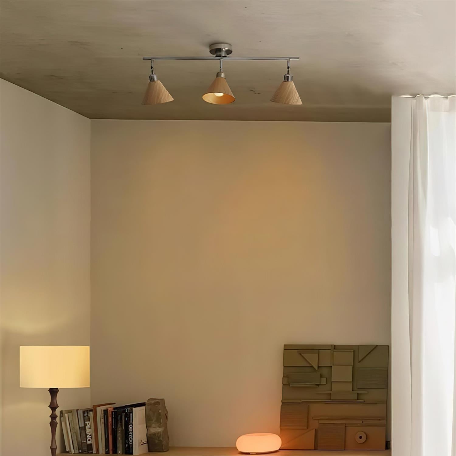 Tuncose Ceiling Light