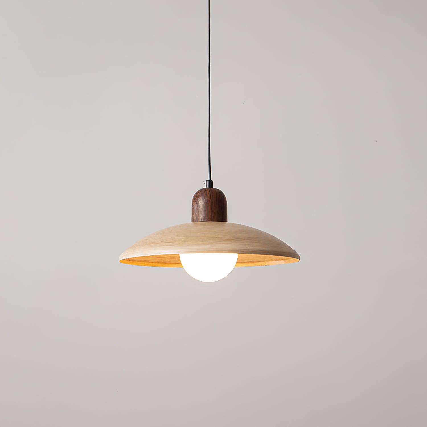 Phyvron Pendant Light