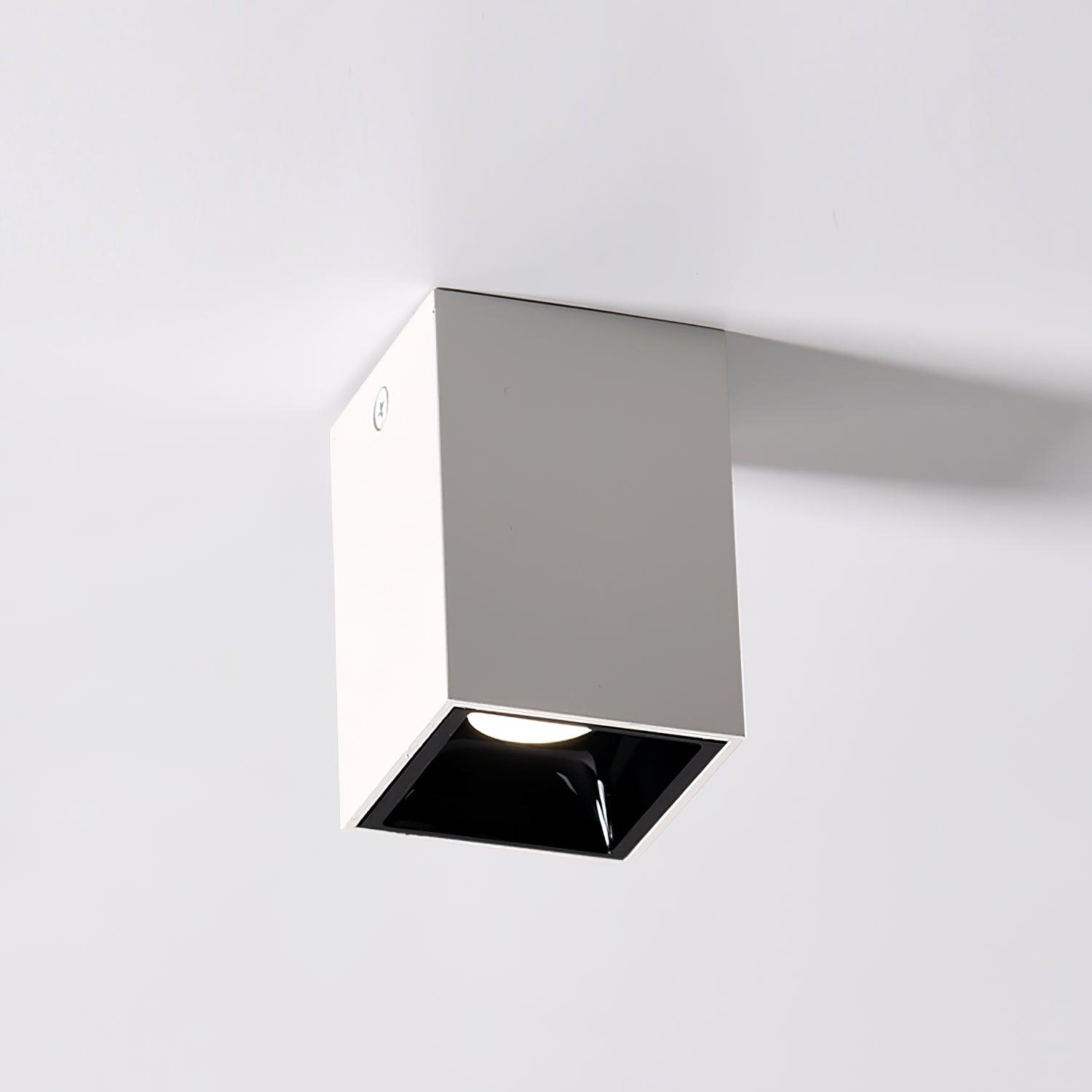 Cublo Ceiling Light