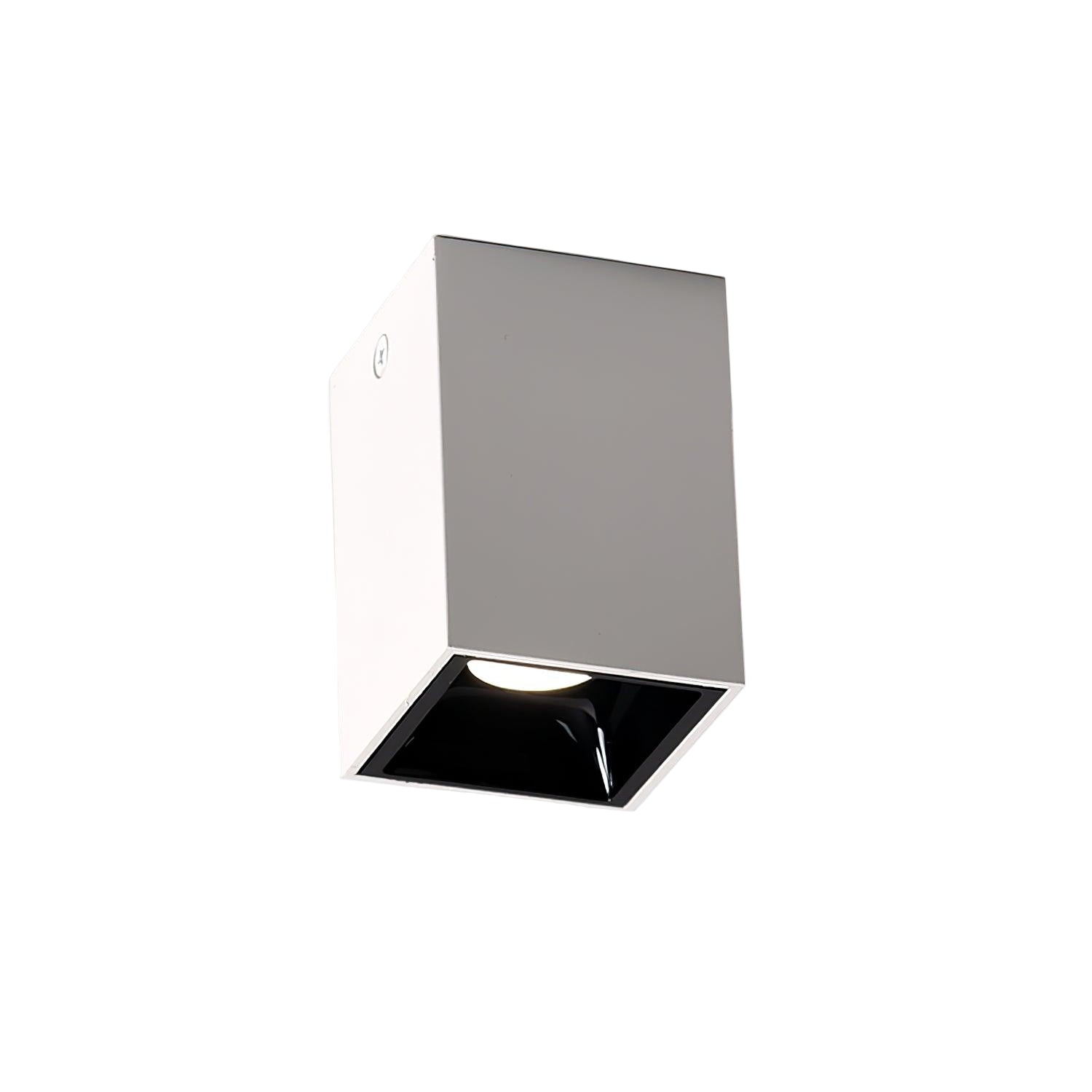 Cublo Ceiling Light