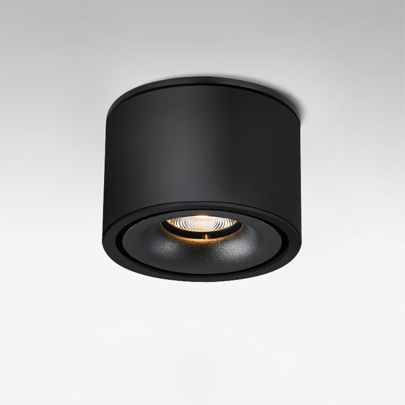 Kolvon Ceiling Light