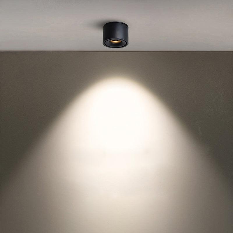 Kolvon Ceiling Light