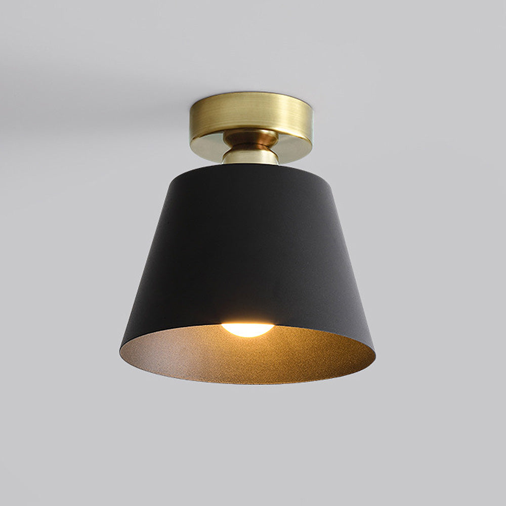 Cinosal Ceiling Light
