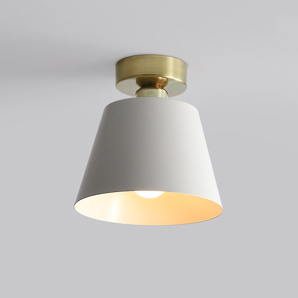 Cinosal Ceiling Light