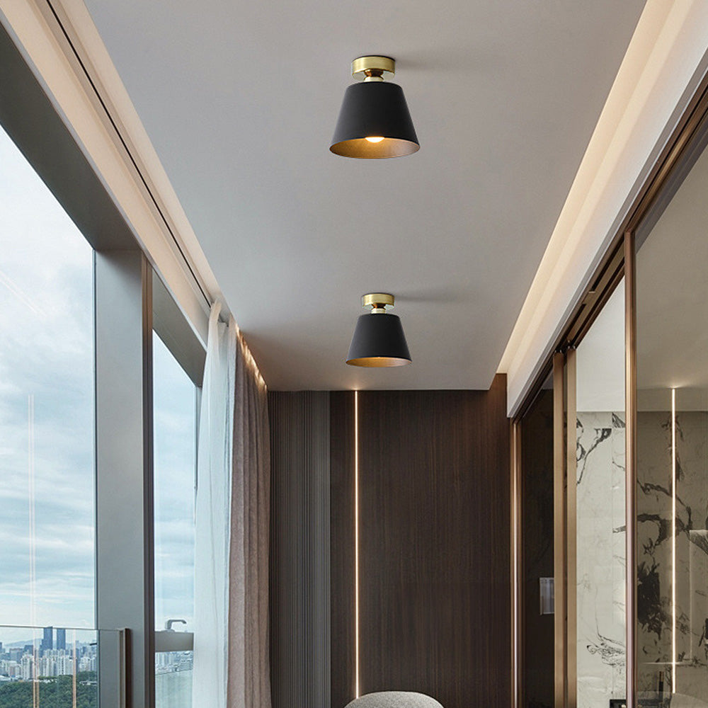 Cinosal Ceiling Light