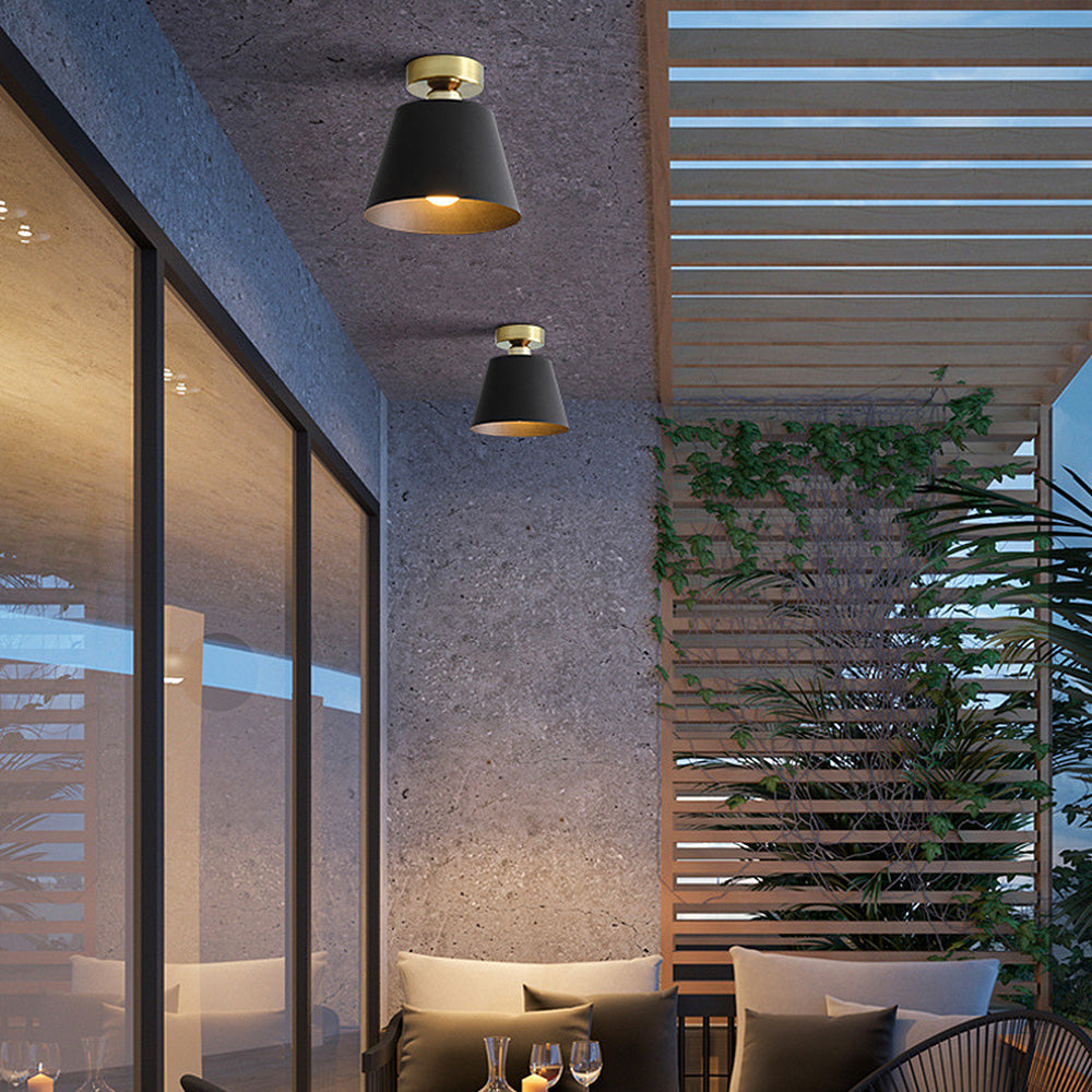 Cinosal Ceiling Light