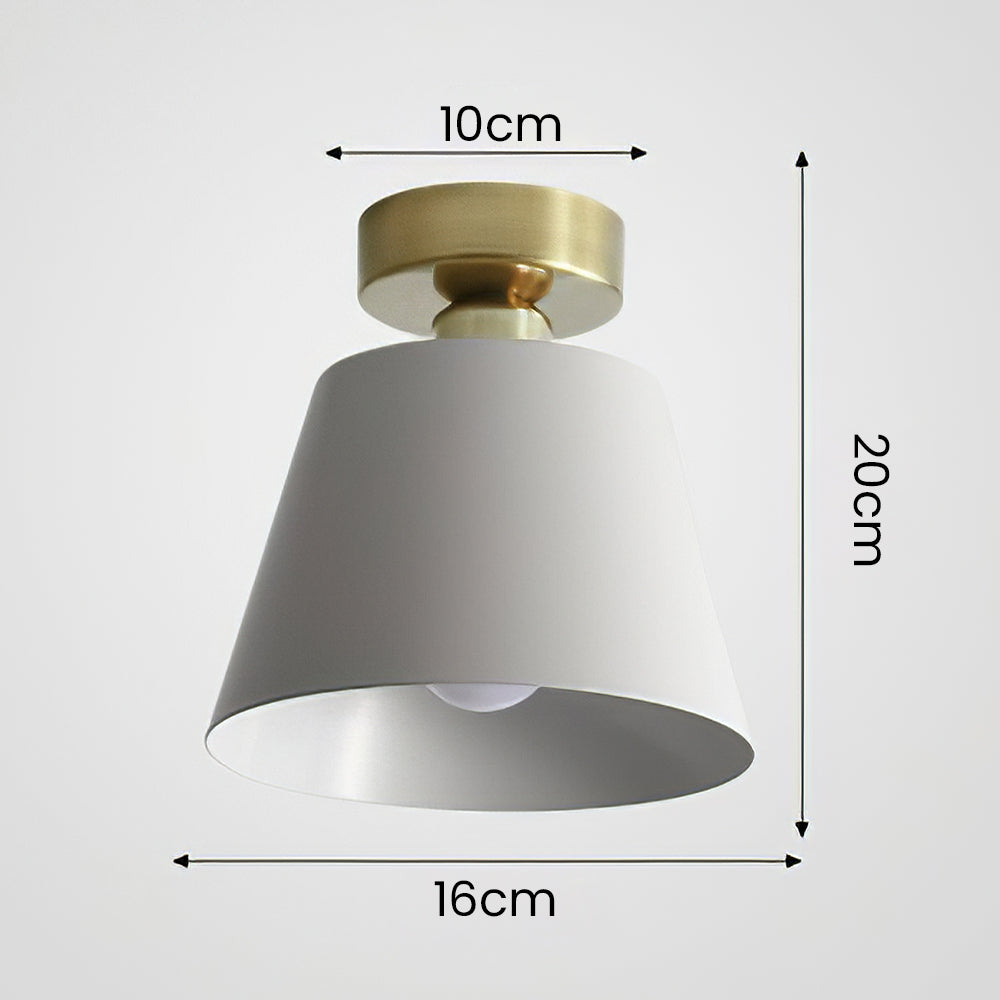 Cinosal Ceiling Light
