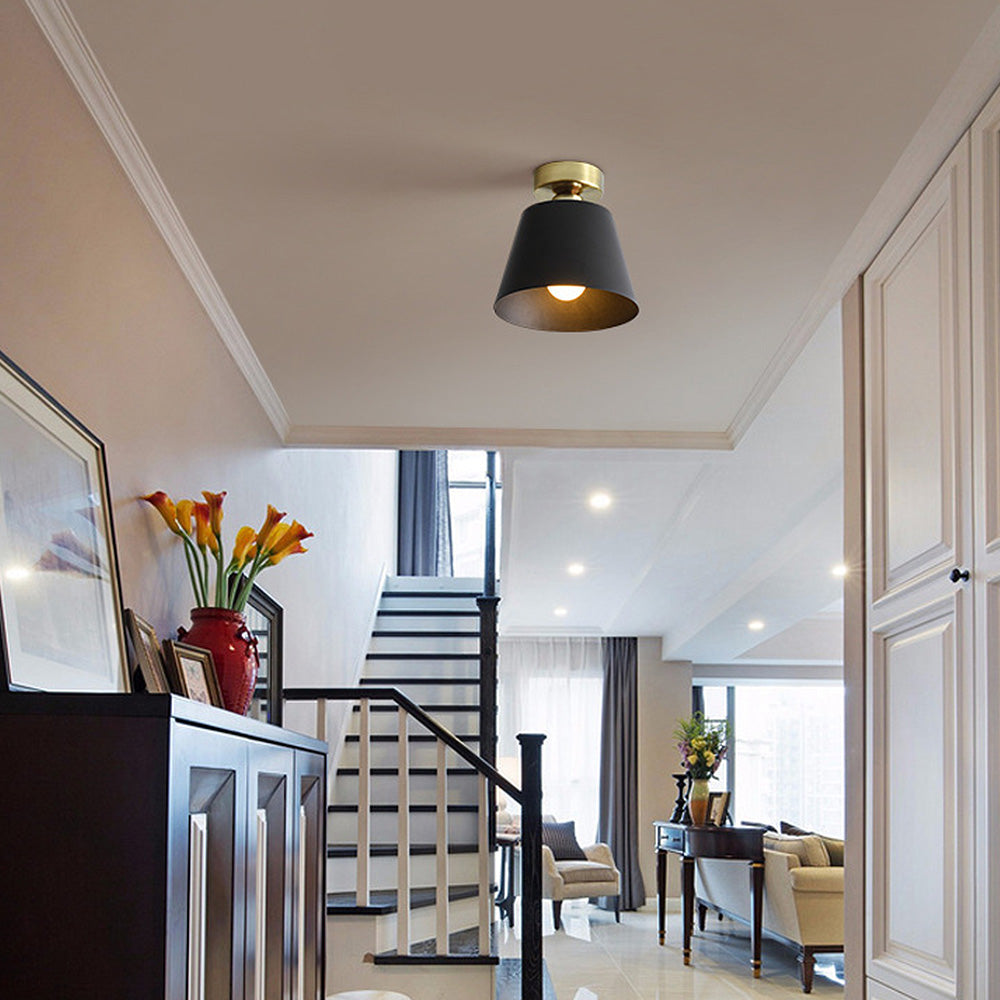 Cinosal Ceiling Light