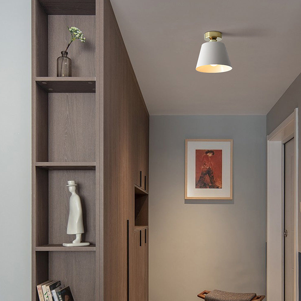 Cinosal Ceiling Light