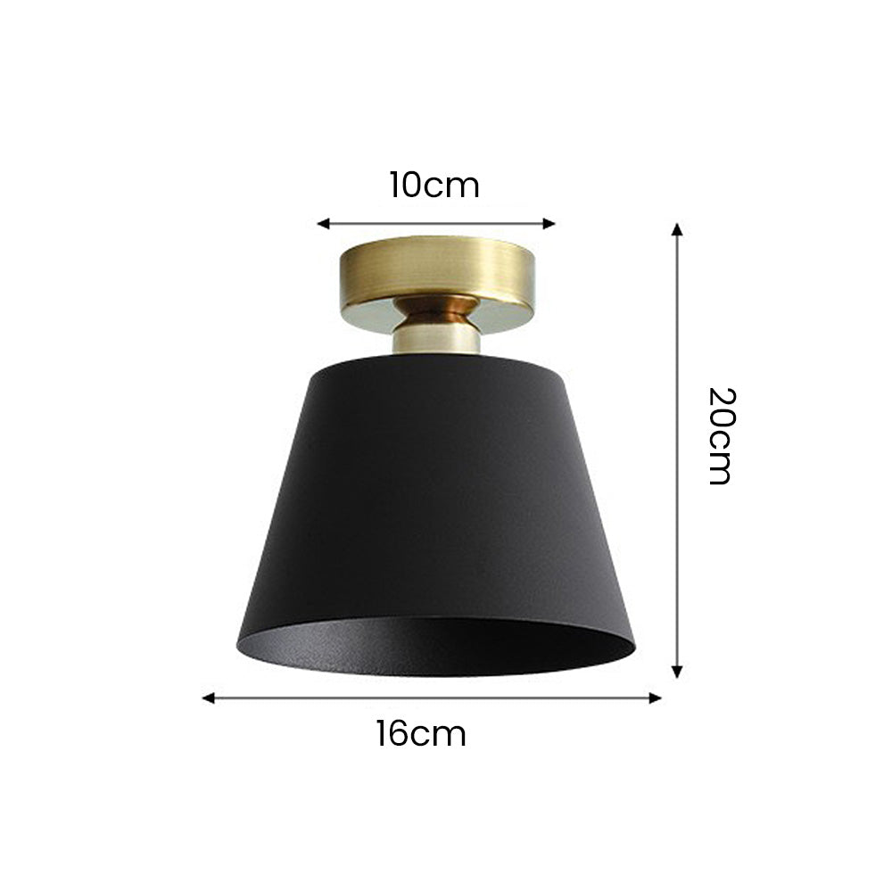 Cinosal Ceiling Light