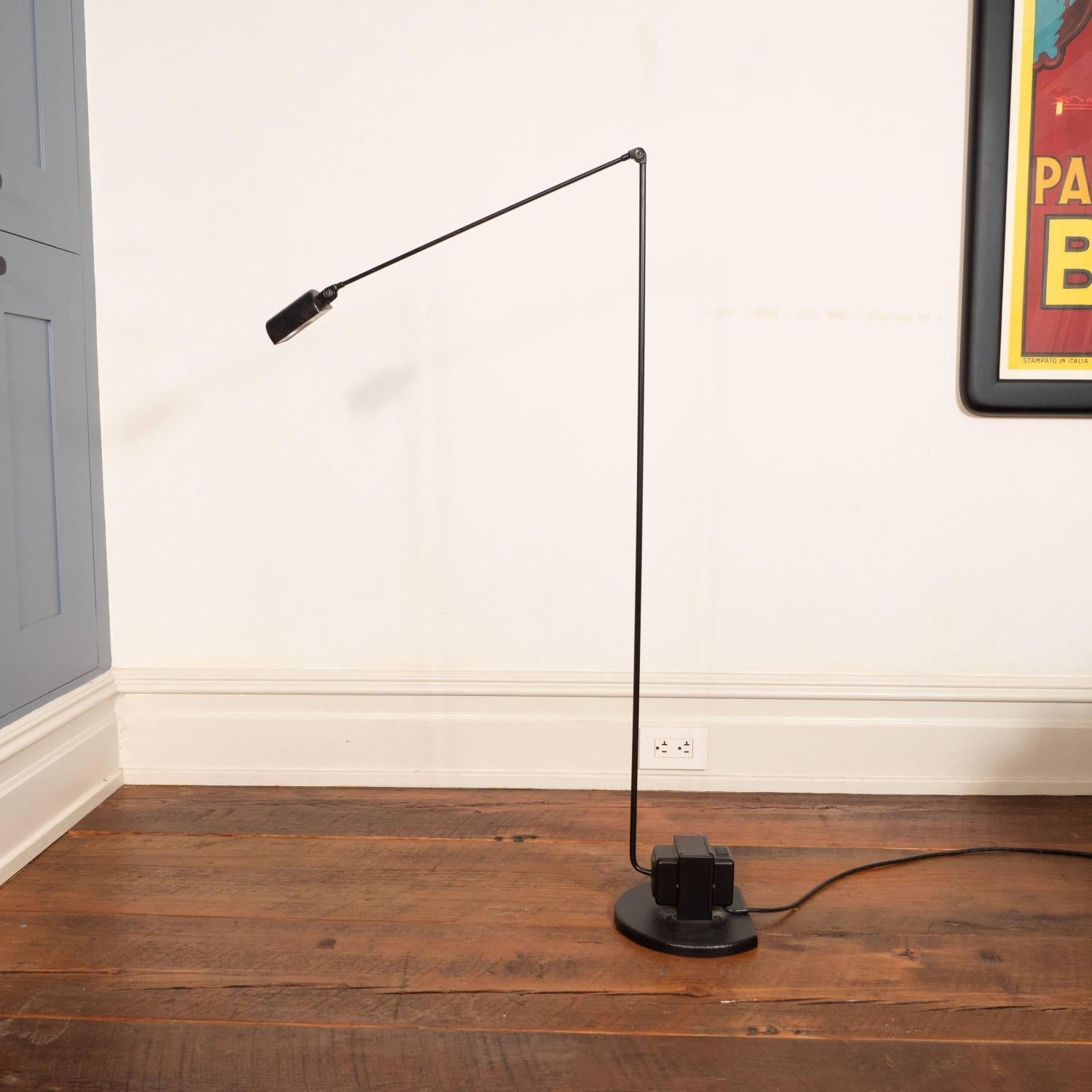 Reneyo Adjustable Floor Lamp