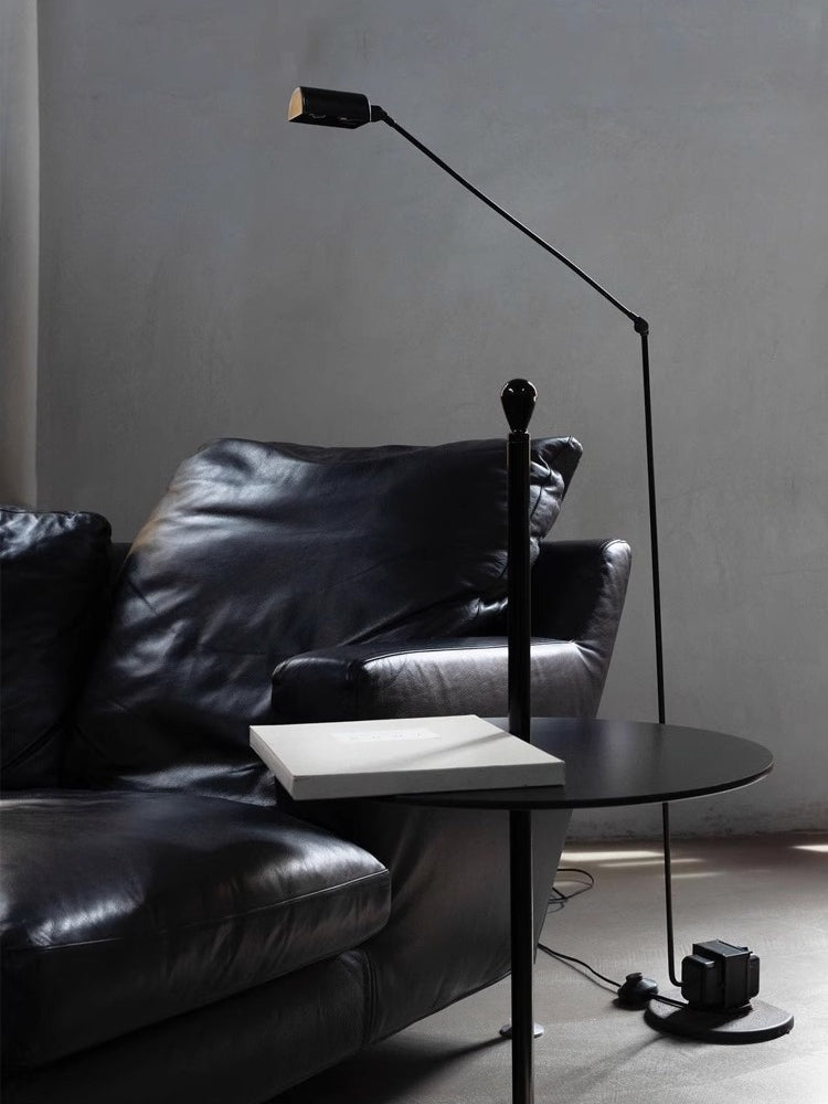 Reneyo Adjustable Floor Lamp