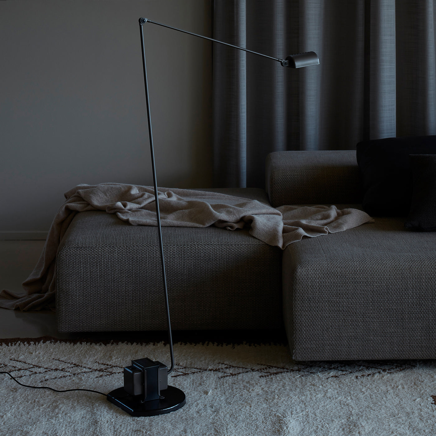 Reneyo Adjustable Floor Lamp