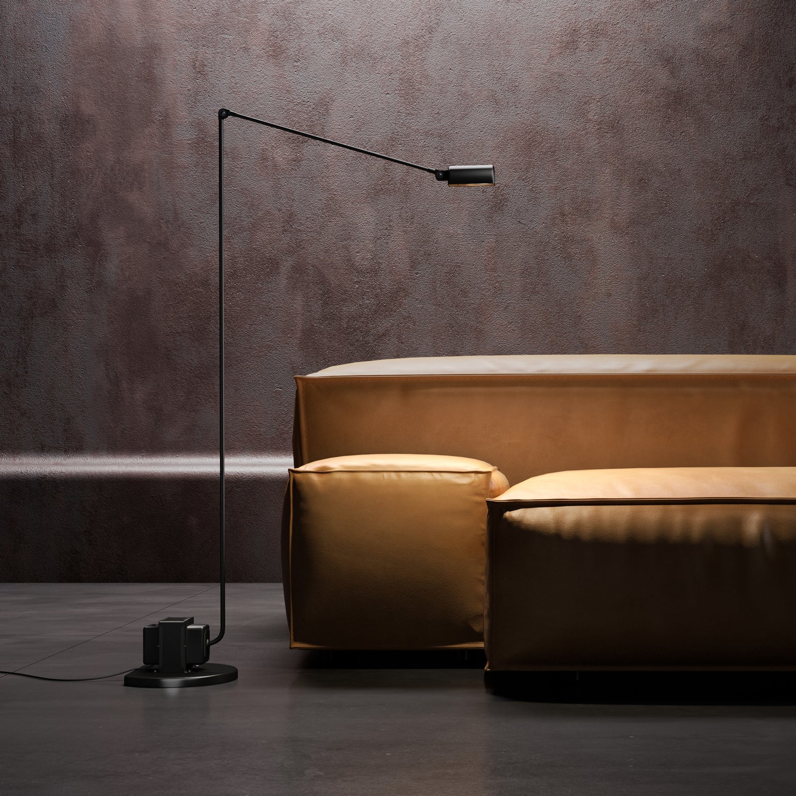 Reneyo Adjustable Floor Lamp