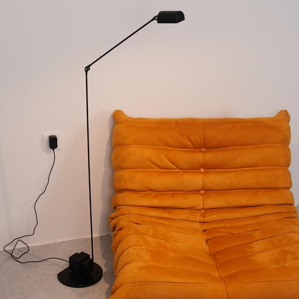 Reneyo Adjustable Floor Lamp