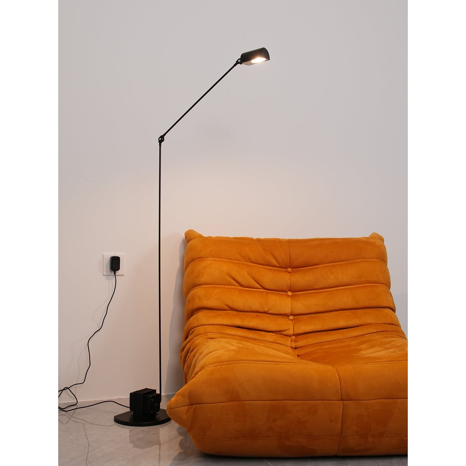 Reneyo Adjustable Floor Lamp