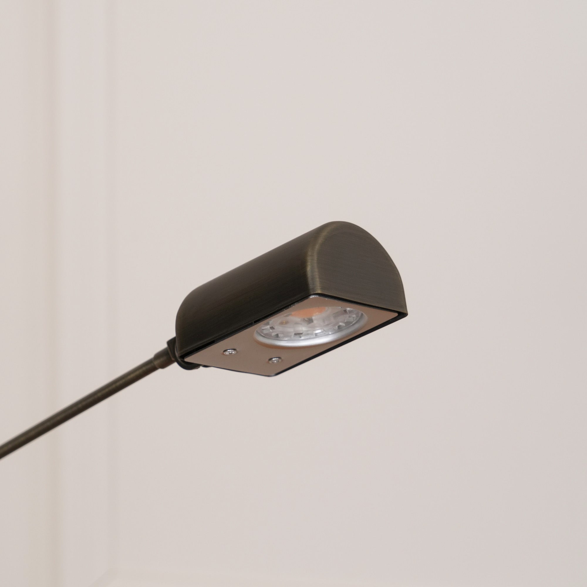Reneyo Adjustable Floor Lamp