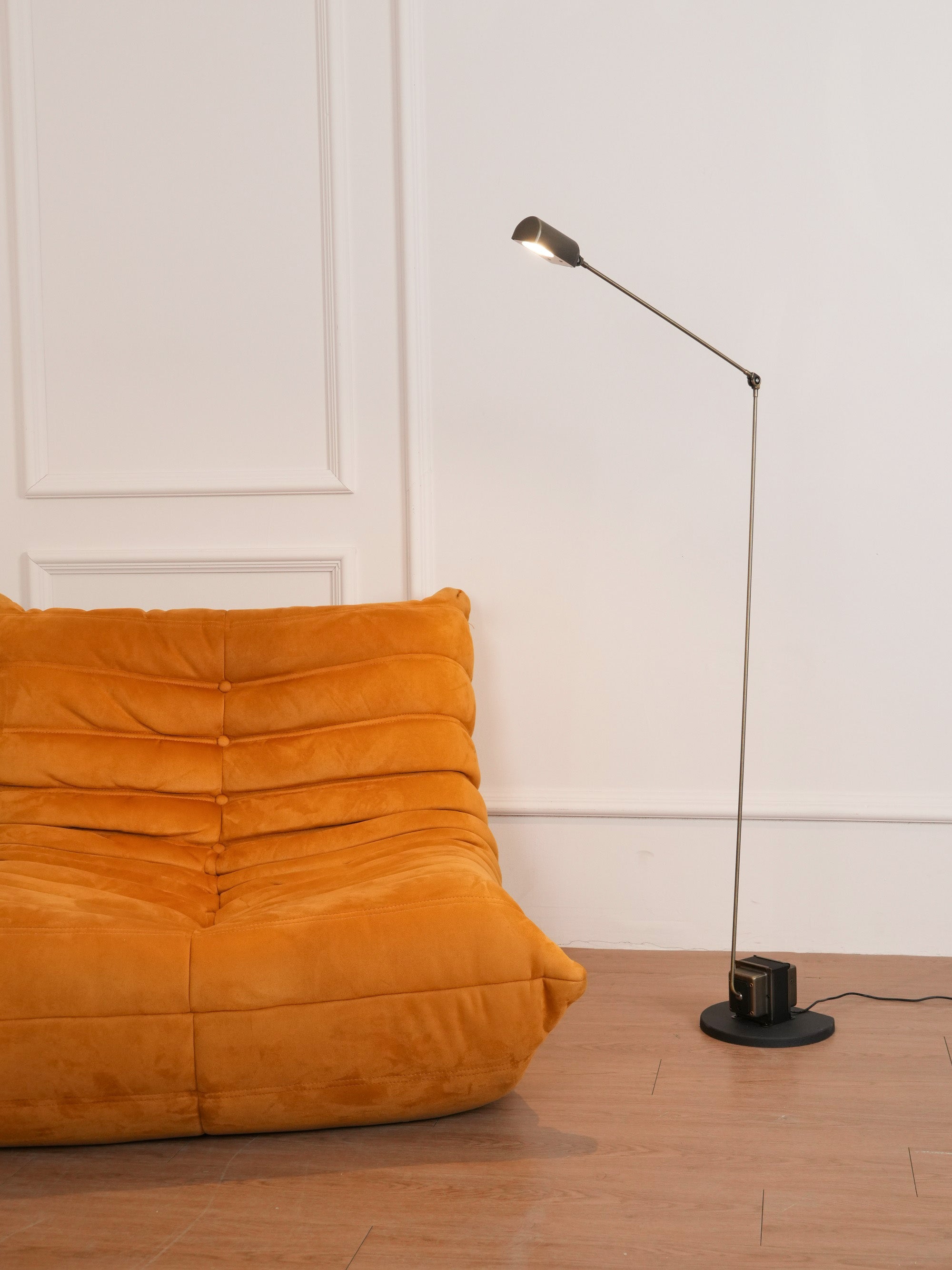 Reneyo Adjustable Floor Lamp