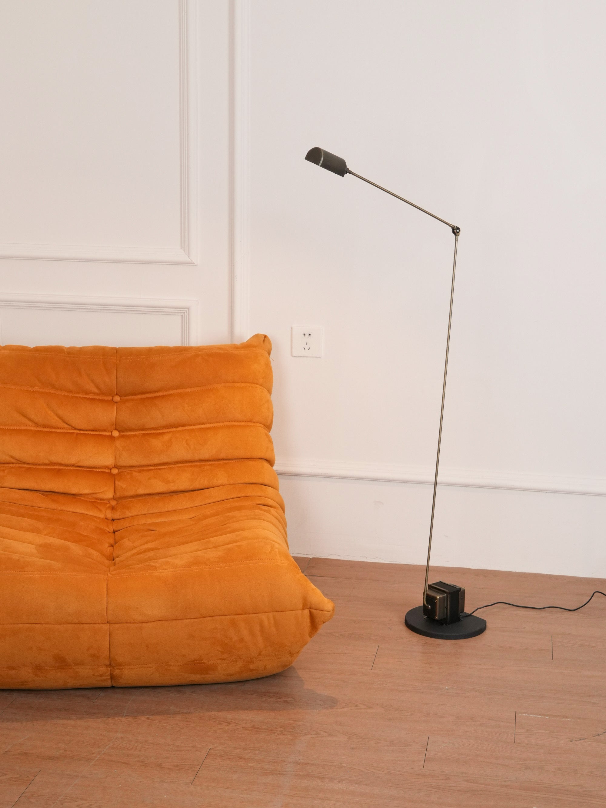 Reneyo Adjustable Floor Lamp