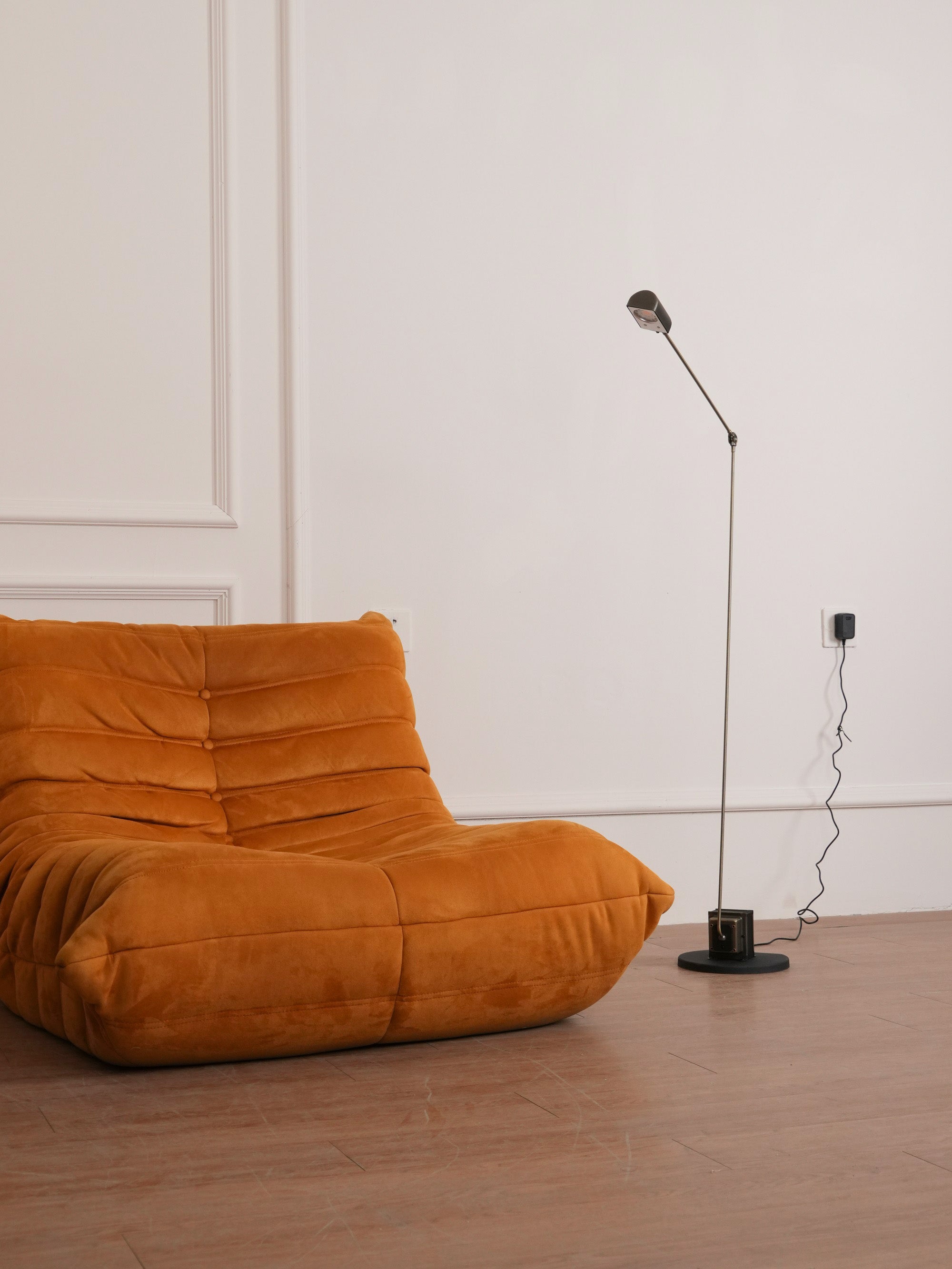 Reneyo Adjustable Floor Lamp