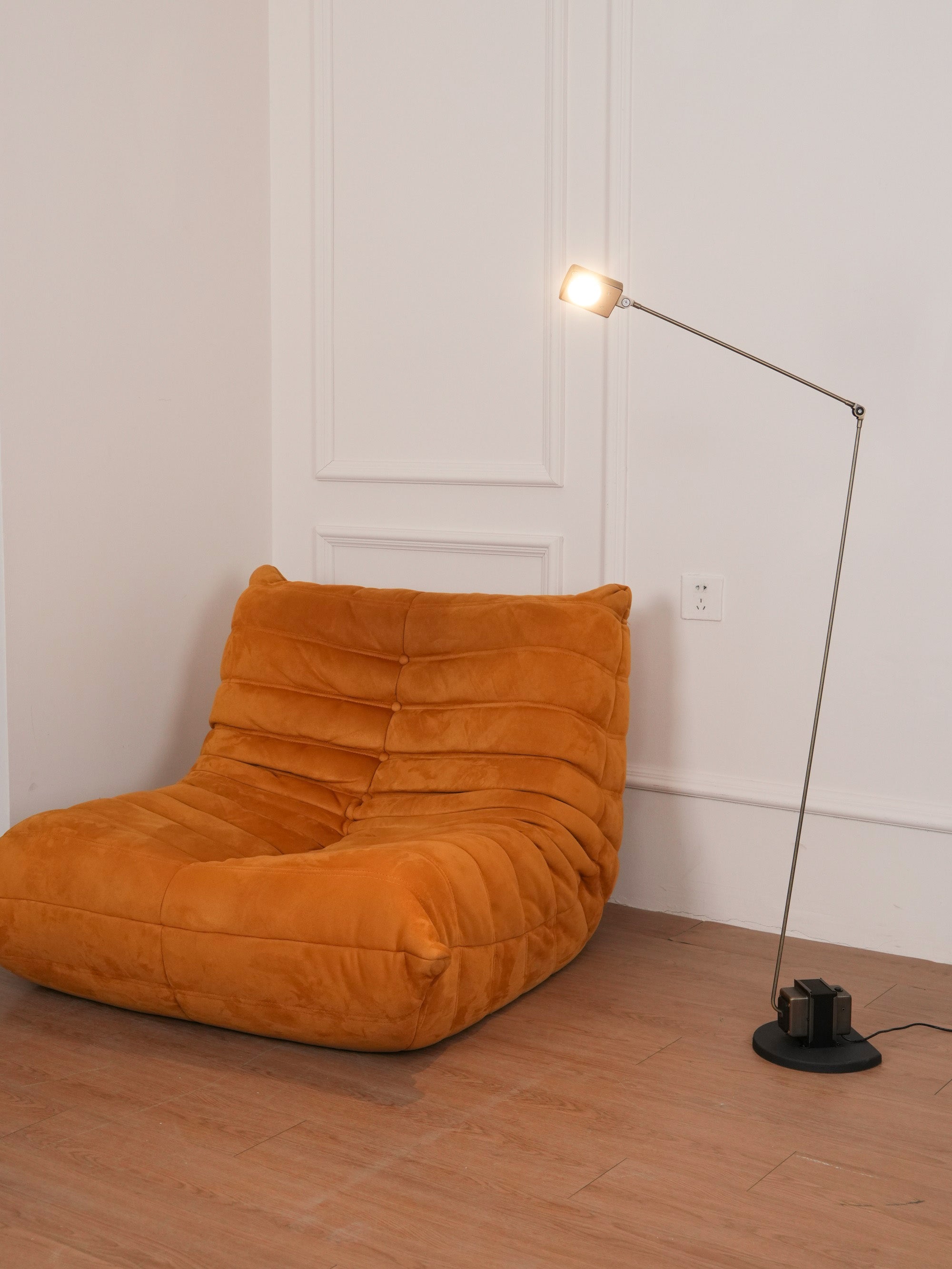 Reneyo Adjustable Floor Lamp
