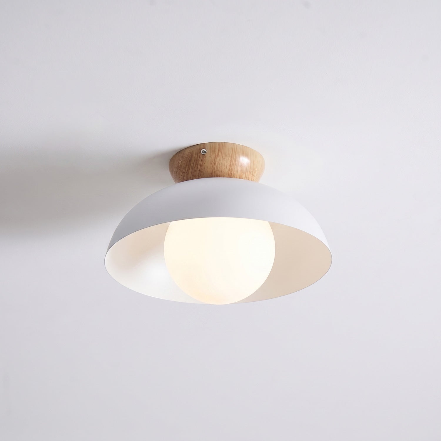 Merrarley Ceiling Light