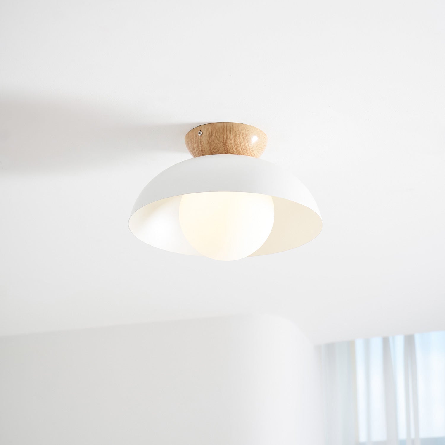Merrarley Ceiling Light