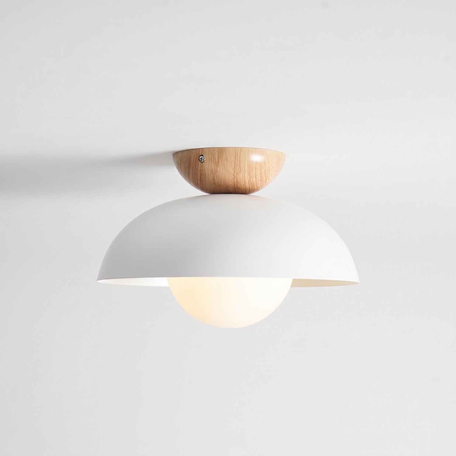 Merrarley Ceiling Light