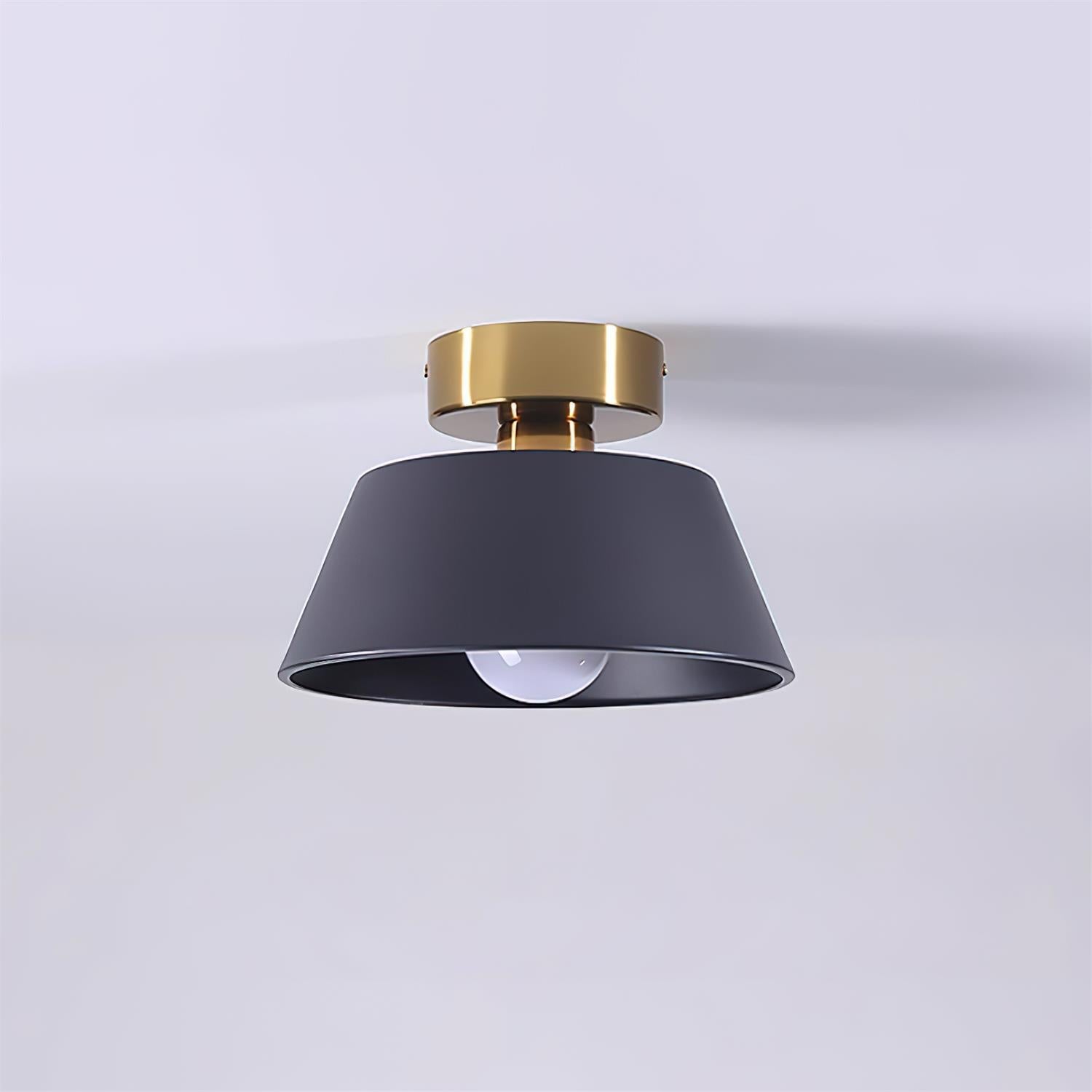 Lesco Ceiling Light