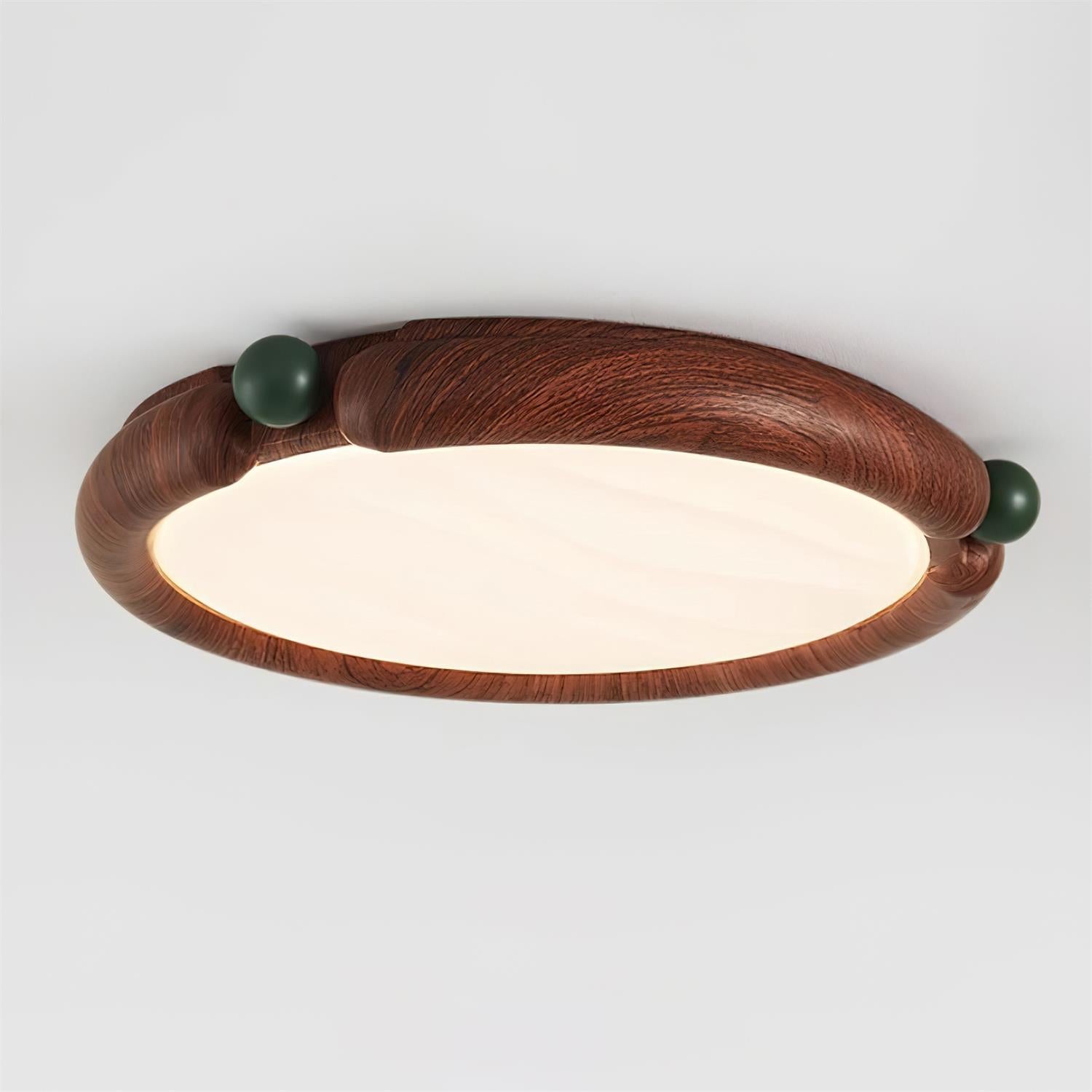 Dimmy Ceiling Light