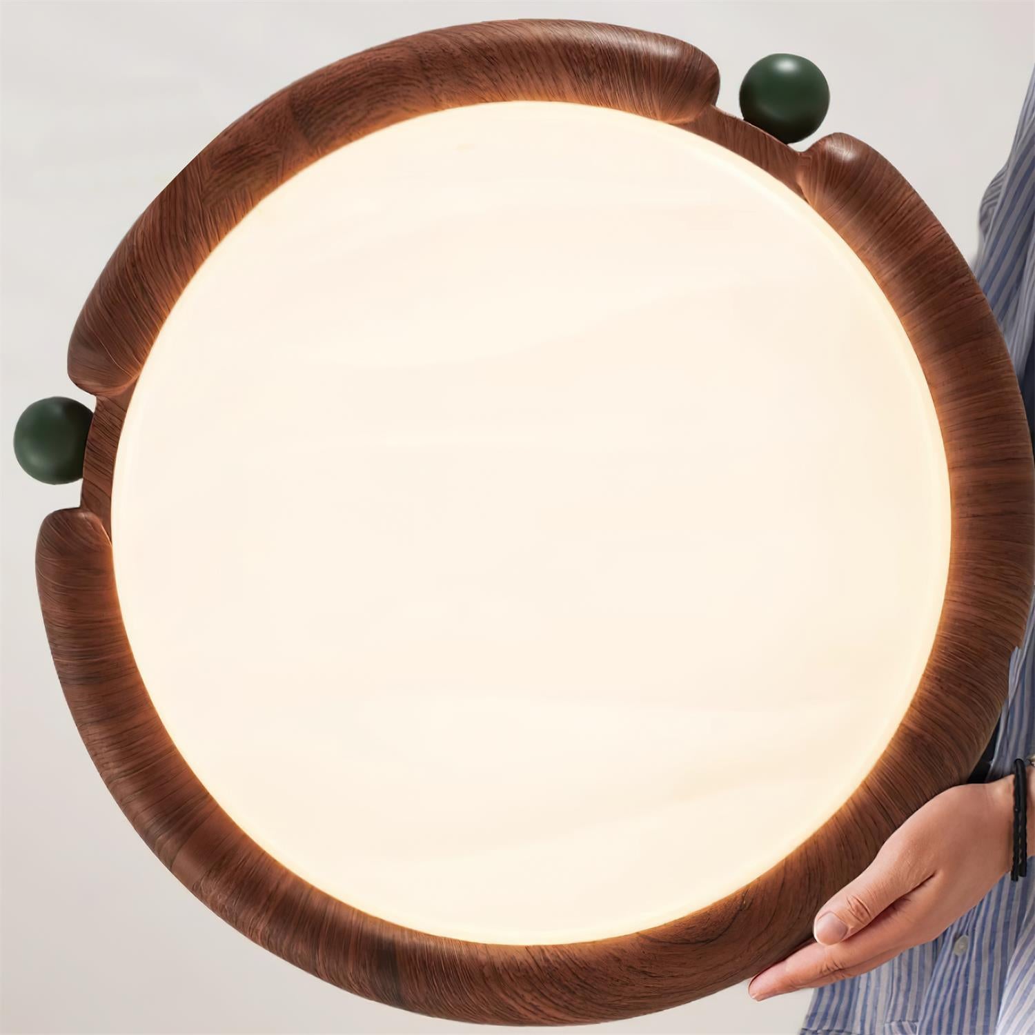 Dimmy Ceiling Light