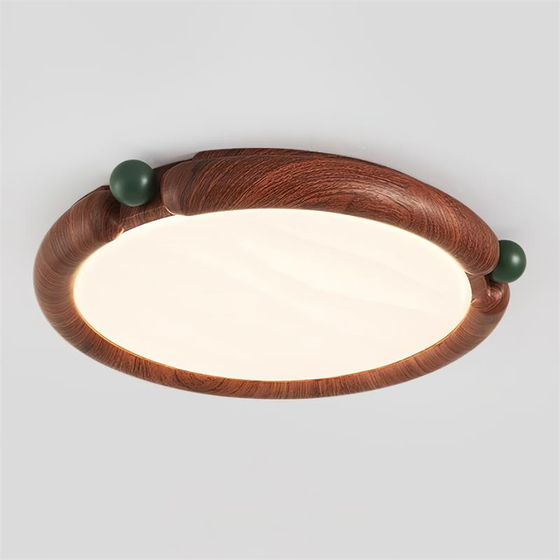 Dimmy Ceiling Light