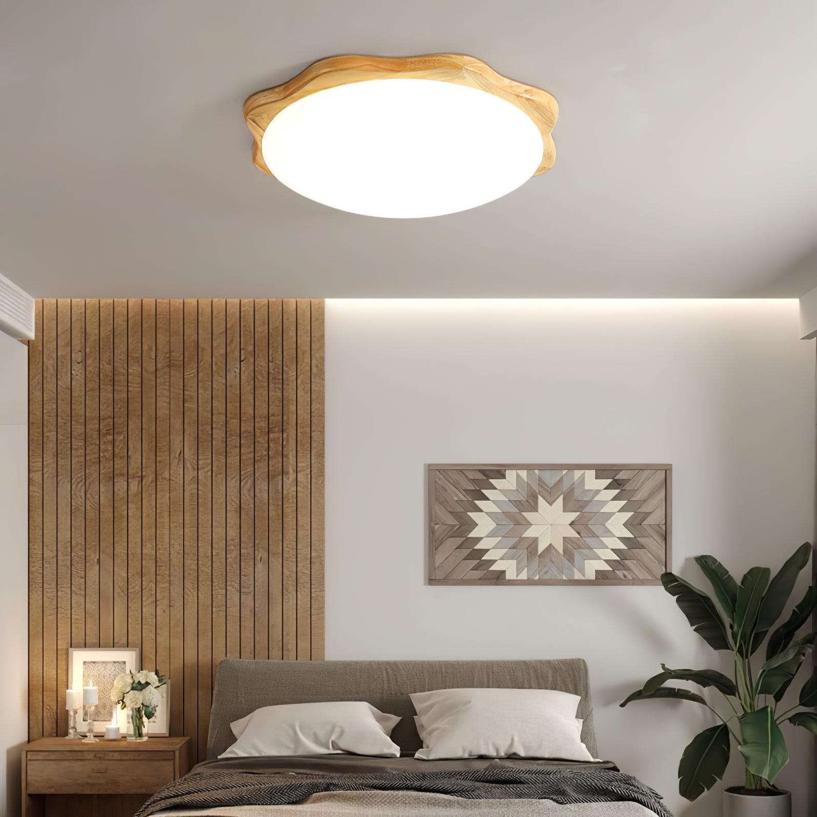 Domesc Ceiling Light