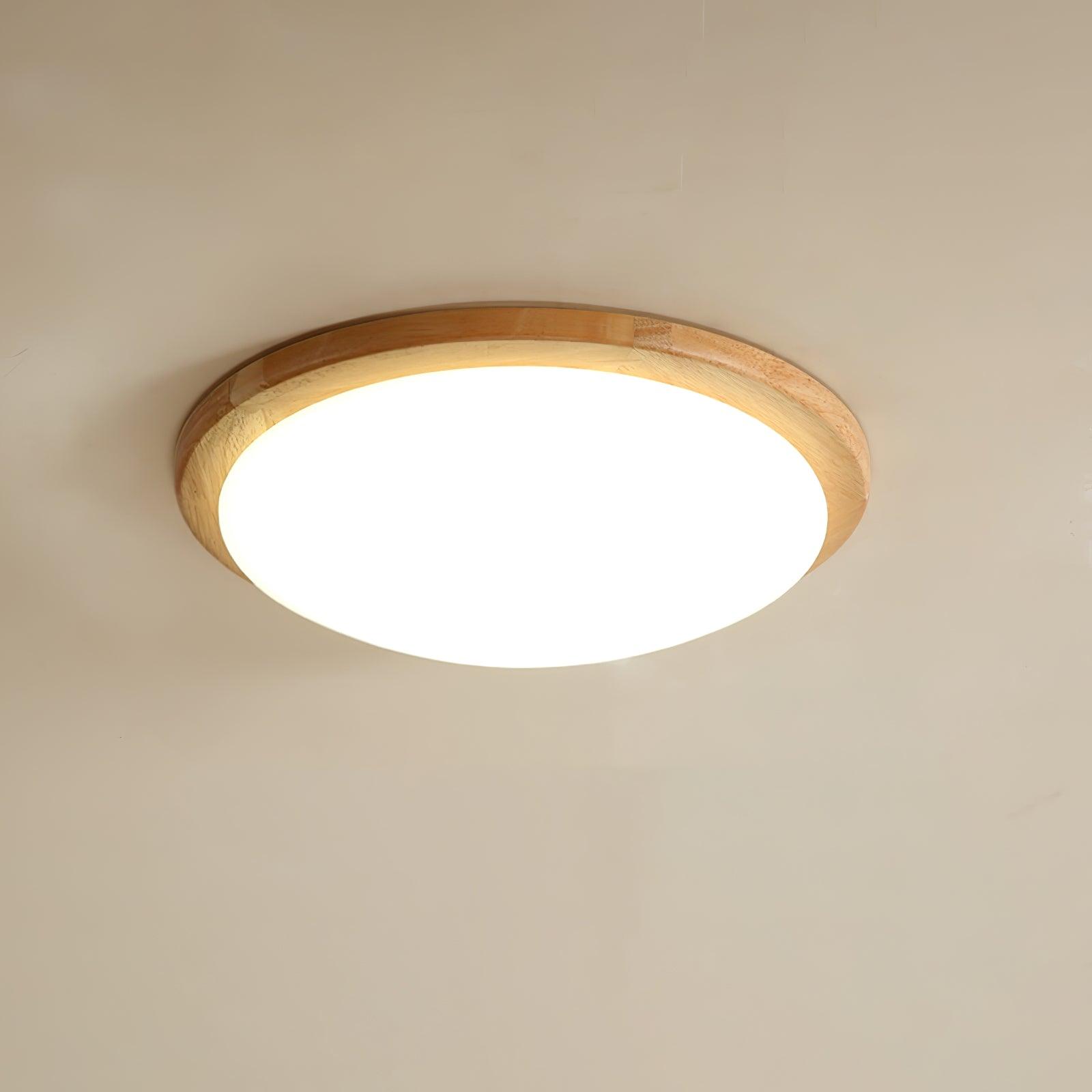 Domesc Ceiling Light