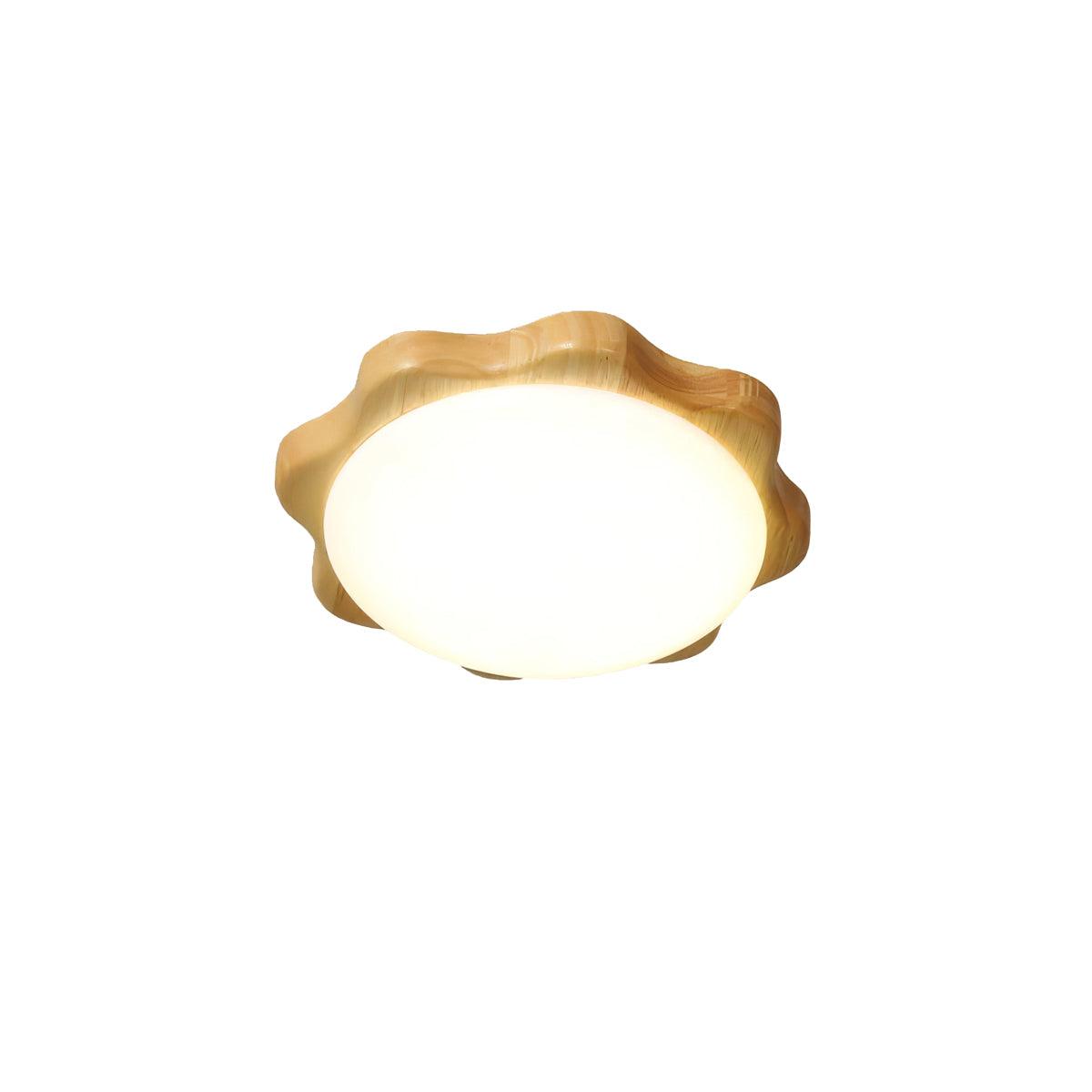 Domesc Ceiling Light