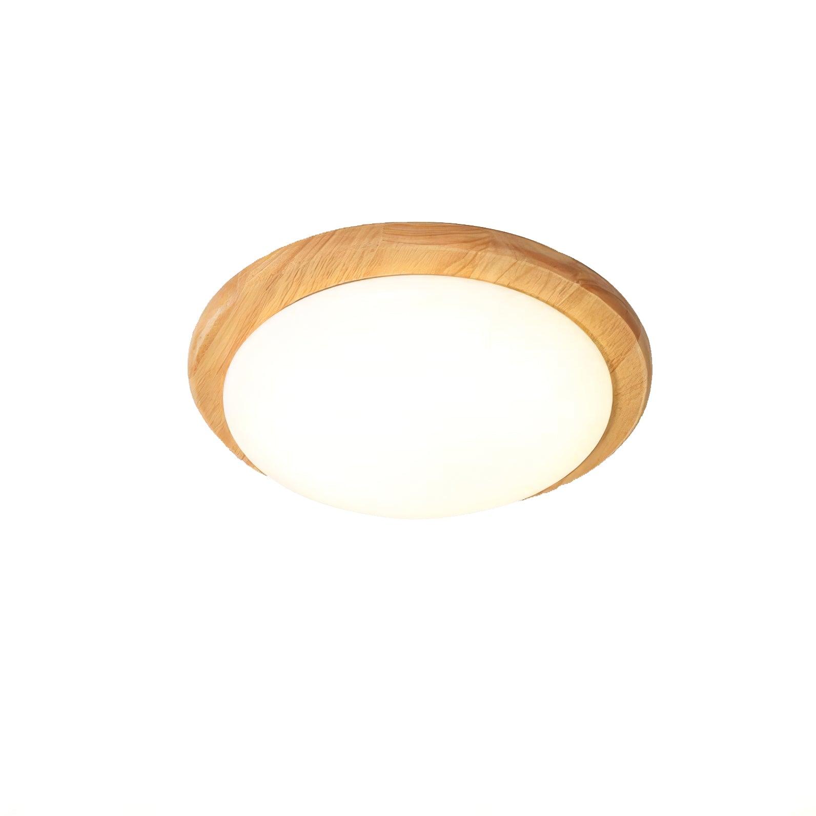 Domesc Ceiling Light