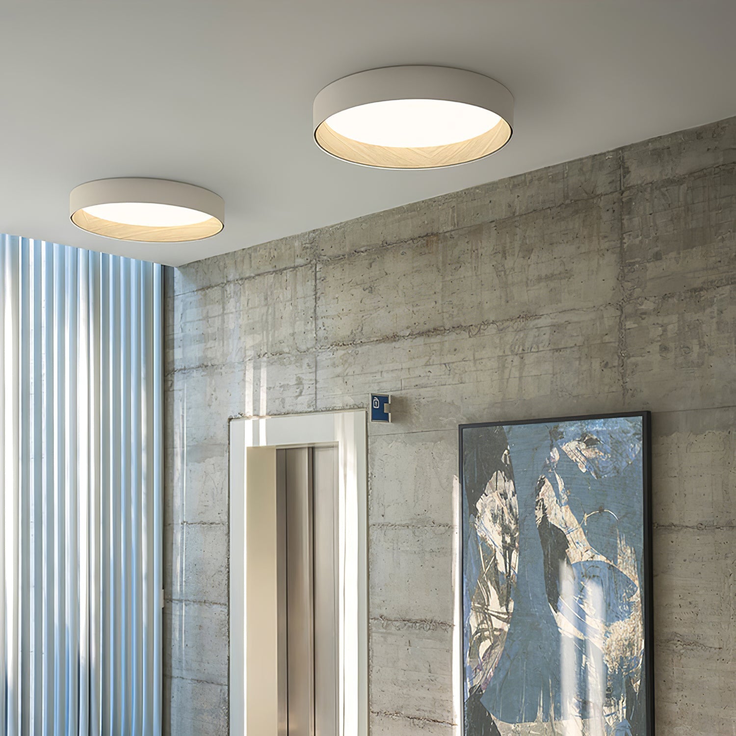 Duroze Ceiling Light