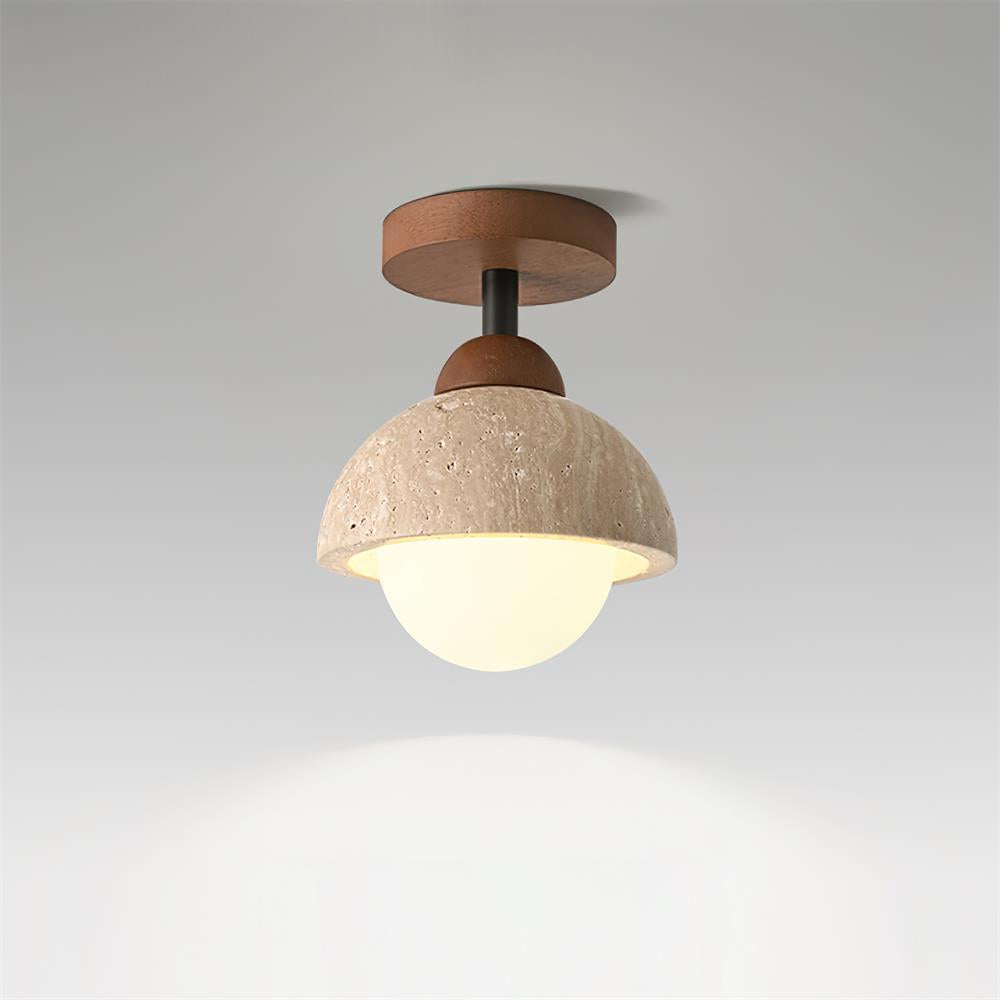 Delvoro Ceiling Light